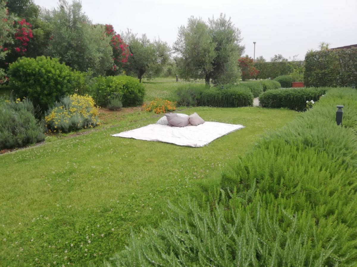 Il Casale Degli Ulivi - Agriturismo - Tenimenti Leone Lanuvio Extérieur photo