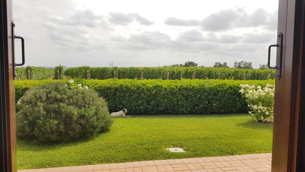 Il Casale Degli Ulivi - Agriturismo - Tenimenti Leone Lanuvio Extérieur photo