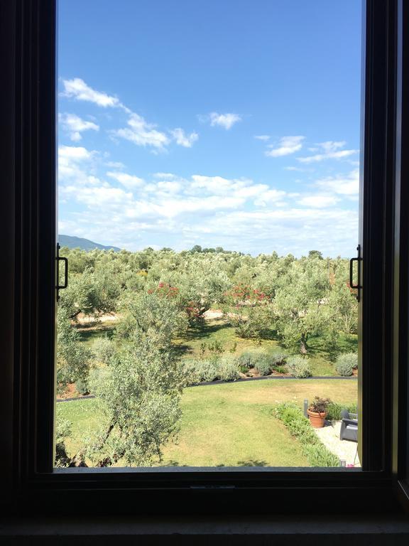 Il Casale Degli Ulivi - Agriturismo - Tenimenti Leone Lanuvio Extérieur photo