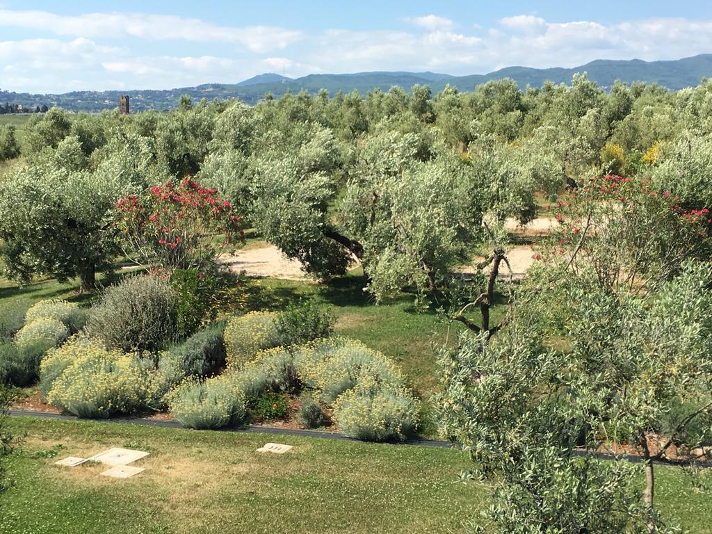 Il Casale Degli Ulivi - Agriturismo - Tenimenti Leone Lanuvio Extérieur photo
