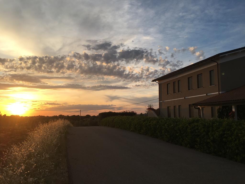 Il Casale Degli Ulivi - Agriturismo - Tenimenti Leone Lanuvio Extérieur photo