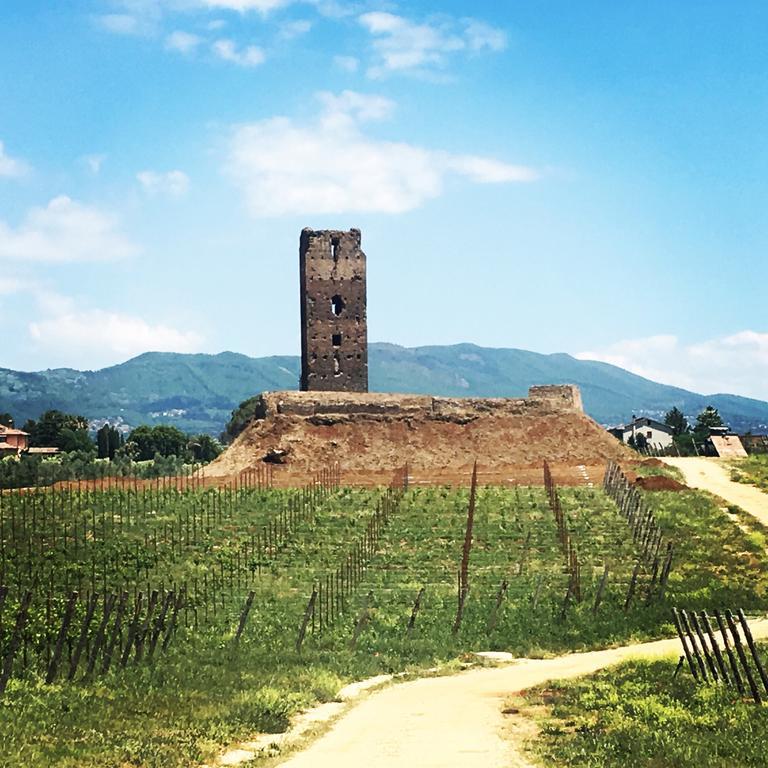 Il Casale Degli Ulivi - Agriturismo - Tenimenti Leone Lanuvio Extérieur photo