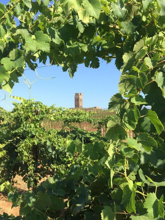 Il Casale Degli Ulivi - Agriturismo - Tenimenti Leone Lanuvio Extérieur photo