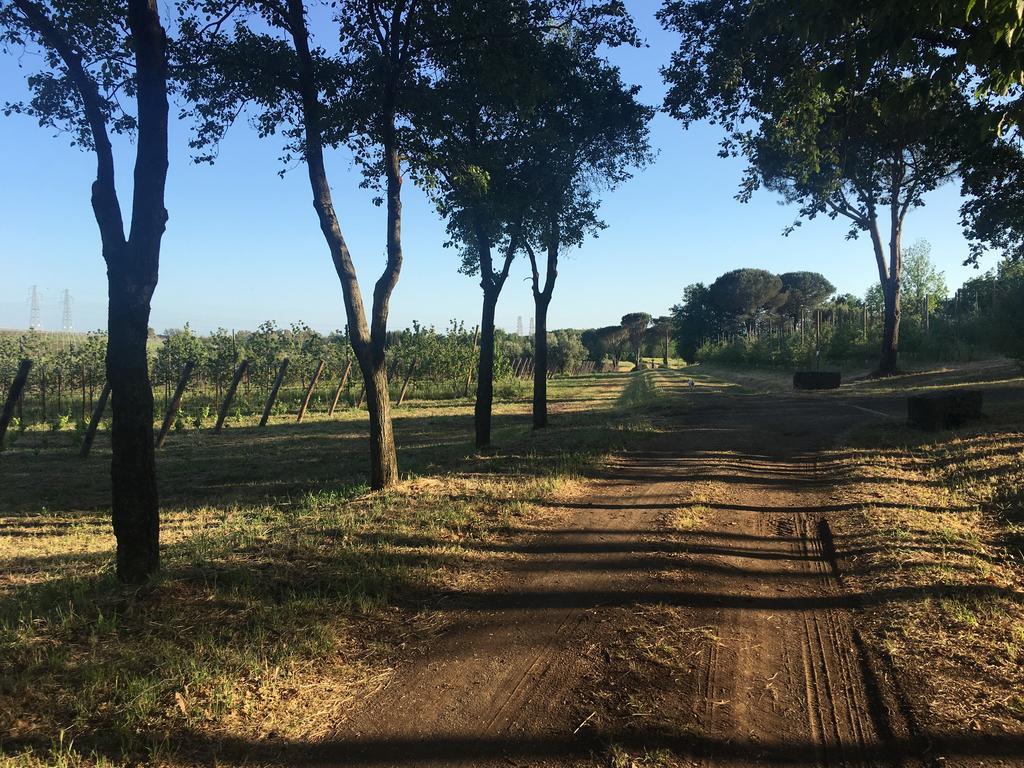 Il Casale Degli Ulivi - Agriturismo - Tenimenti Leone Lanuvio Extérieur photo