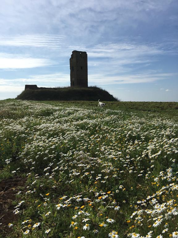 Il Casale Degli Ulivi - Agriturismo - Tenimenti Leone Lanuvio Extérieur photo