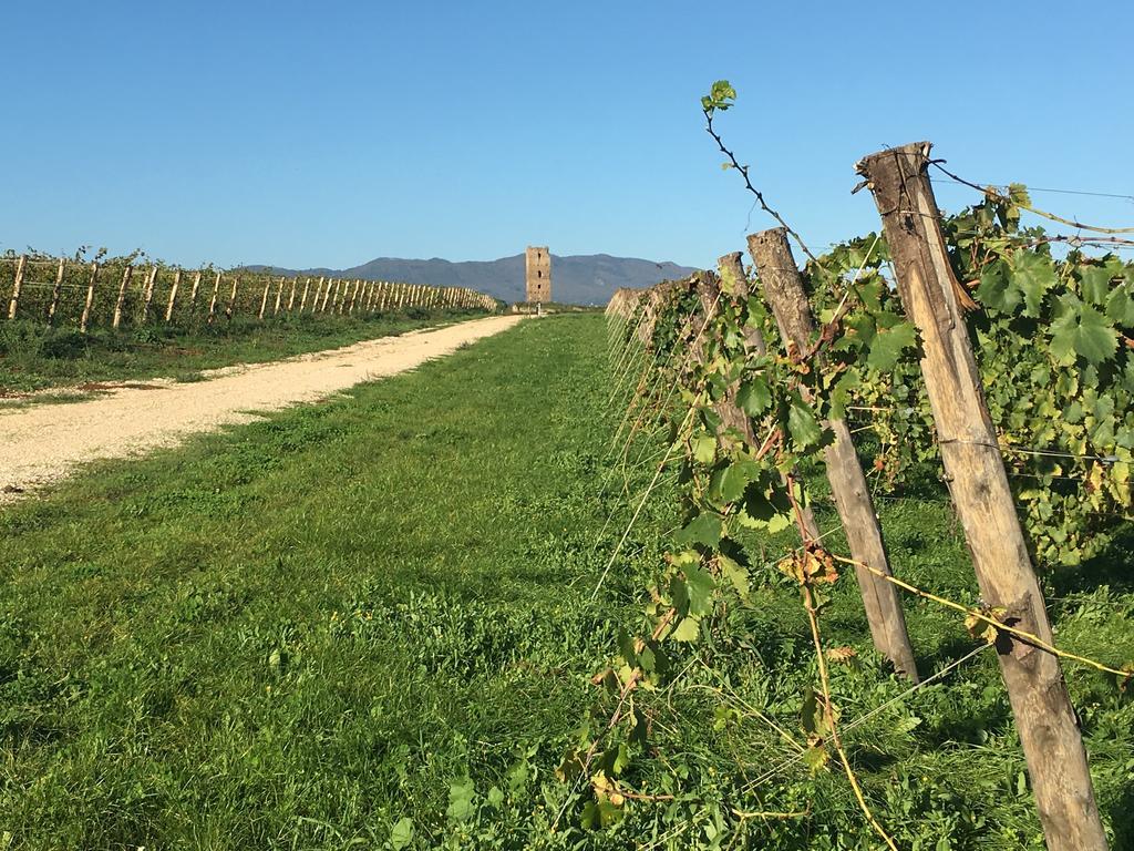 Il Casale Degli Ulivi - Agriturismo - Tenimenti Leone Lanuvio Extérieur photo