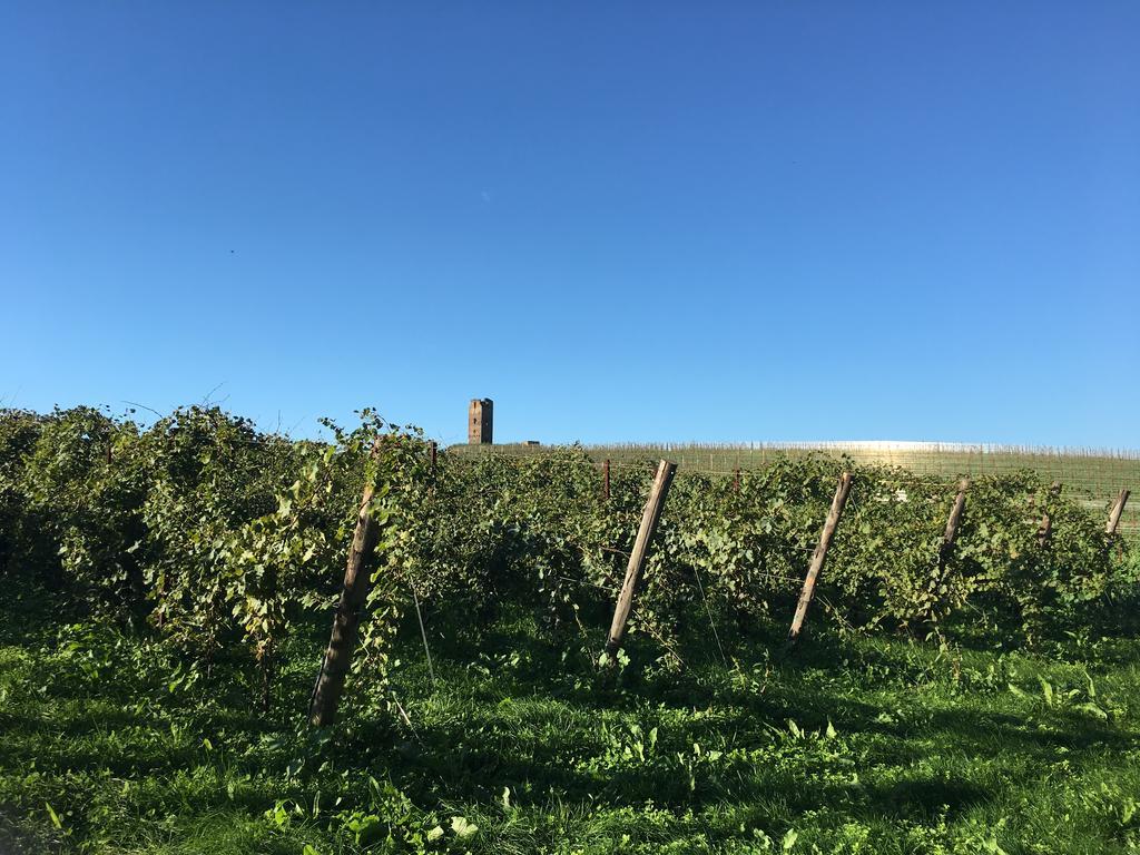 Il Casale Degli Ulivi - Agriturismo - Tenimenti Leone Lanuvio Extérieur photo