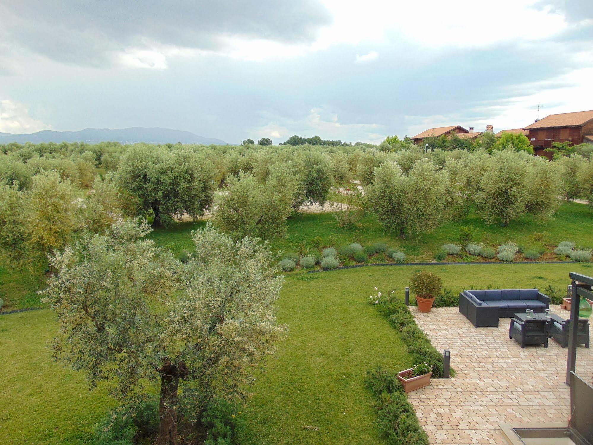 Il Casale Degli Ulivi - Agriturismo - Tenimenti Leone Lanuvio Extérieur photo