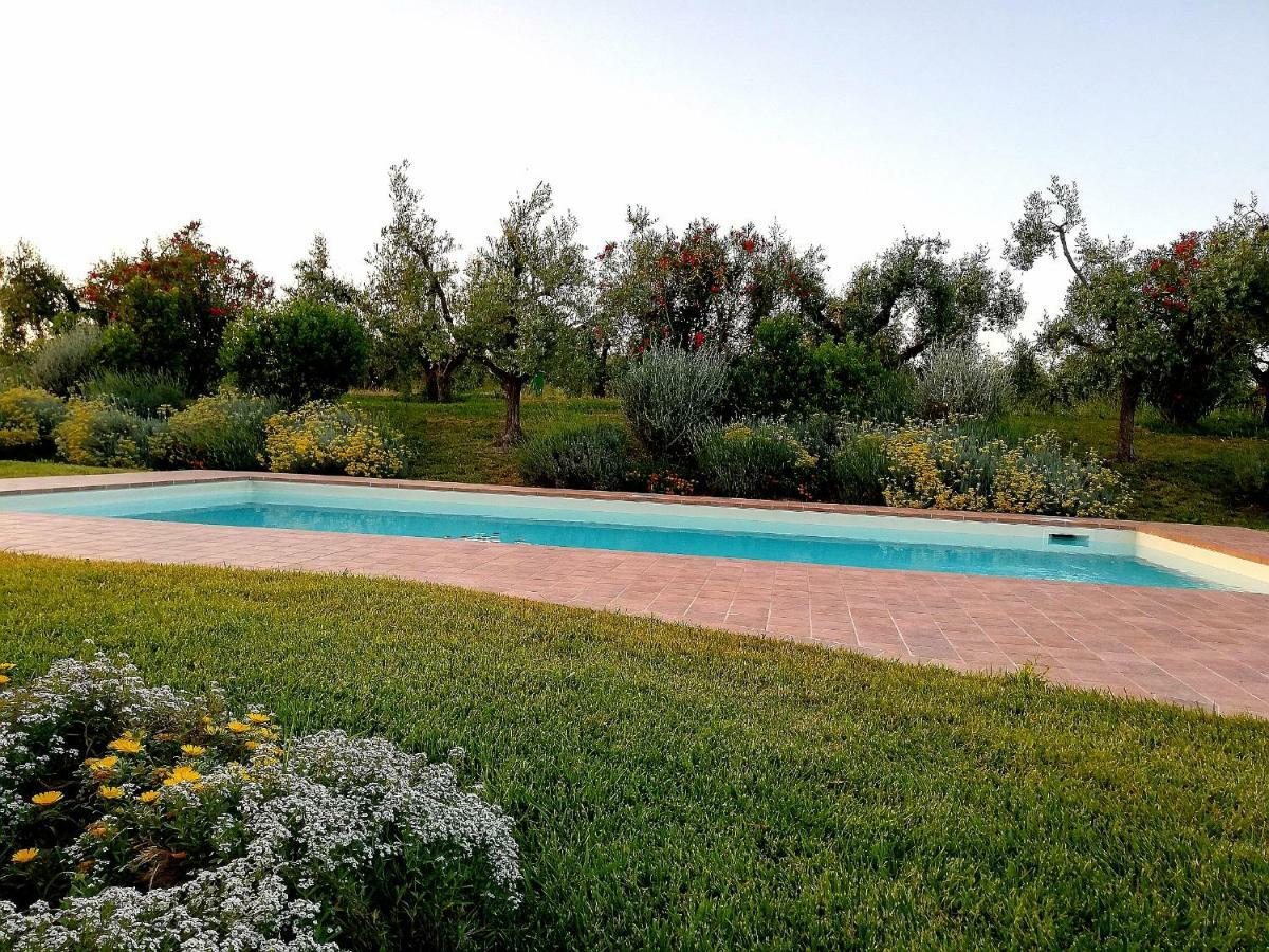 Il Casale Degli Ulivi - Agriturismo - Tenimenti Leone Lanuvio Extérieur photo