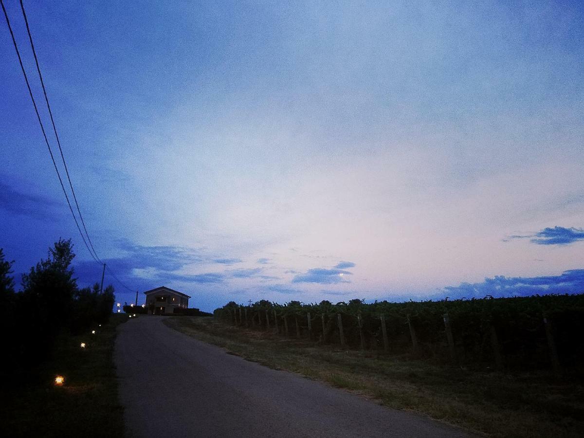 Il Casale Degli Ulivi - Agriturismo - Tenimenti Leone Lanuvio Extérieur photo